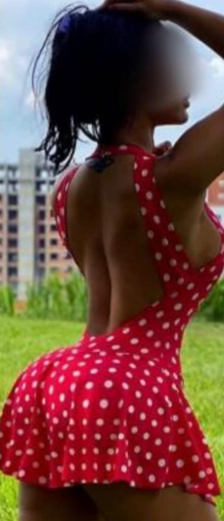 Chico busca chica en Navarra: 