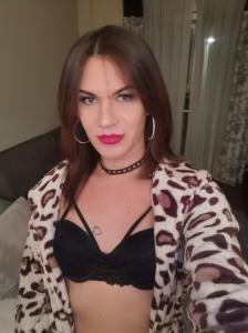 Transexual en Guipúzcoa: 