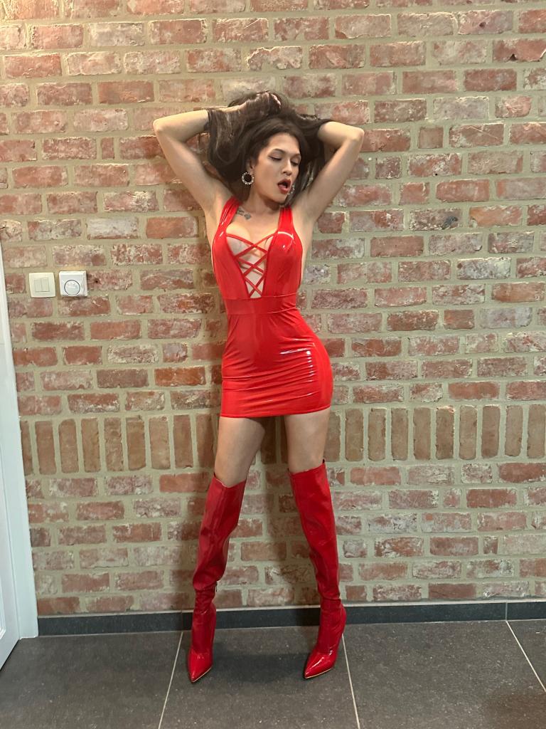 Transexual en Alicante: 
