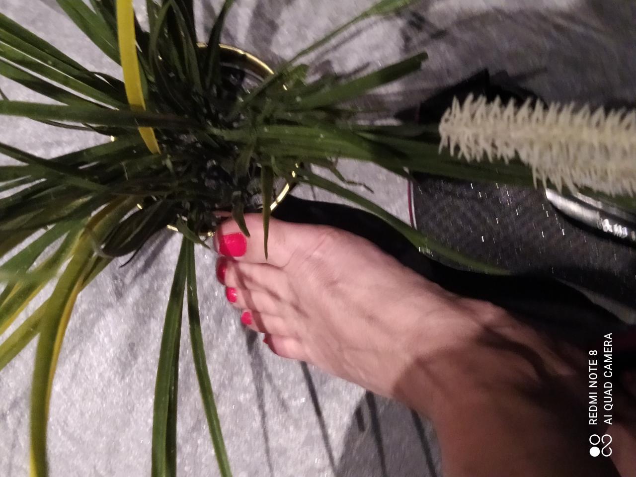 656525239: Chica busca chico en Mallorca