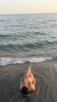 631167290: Chica busca chico en Almería