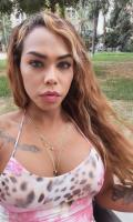 663562436: Travesti en Valencia