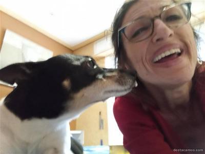 Chica busca chico en Valencia: 