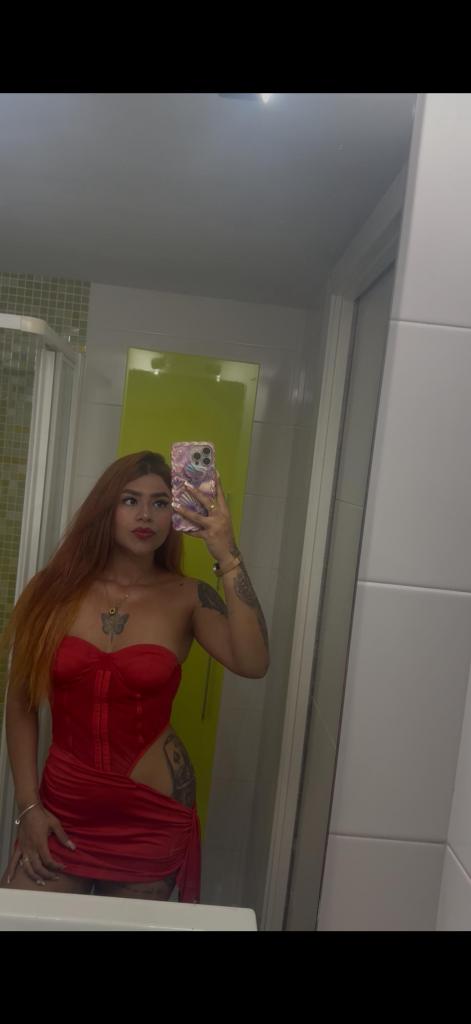 Chica busca chico en Alicante: 