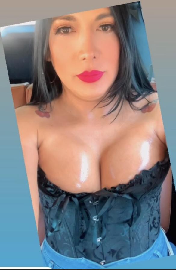 Travesti en Tarragona: 