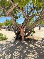 631814376: Chica busca chico en Las Palmas