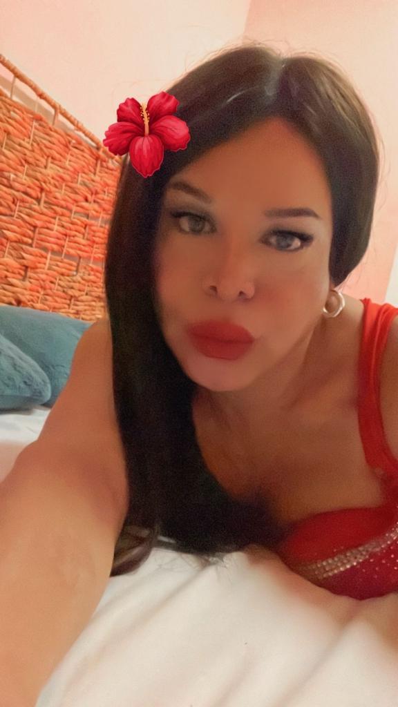 641699004: Travesti en Madrid