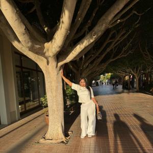 Travesti en Mallorca: 