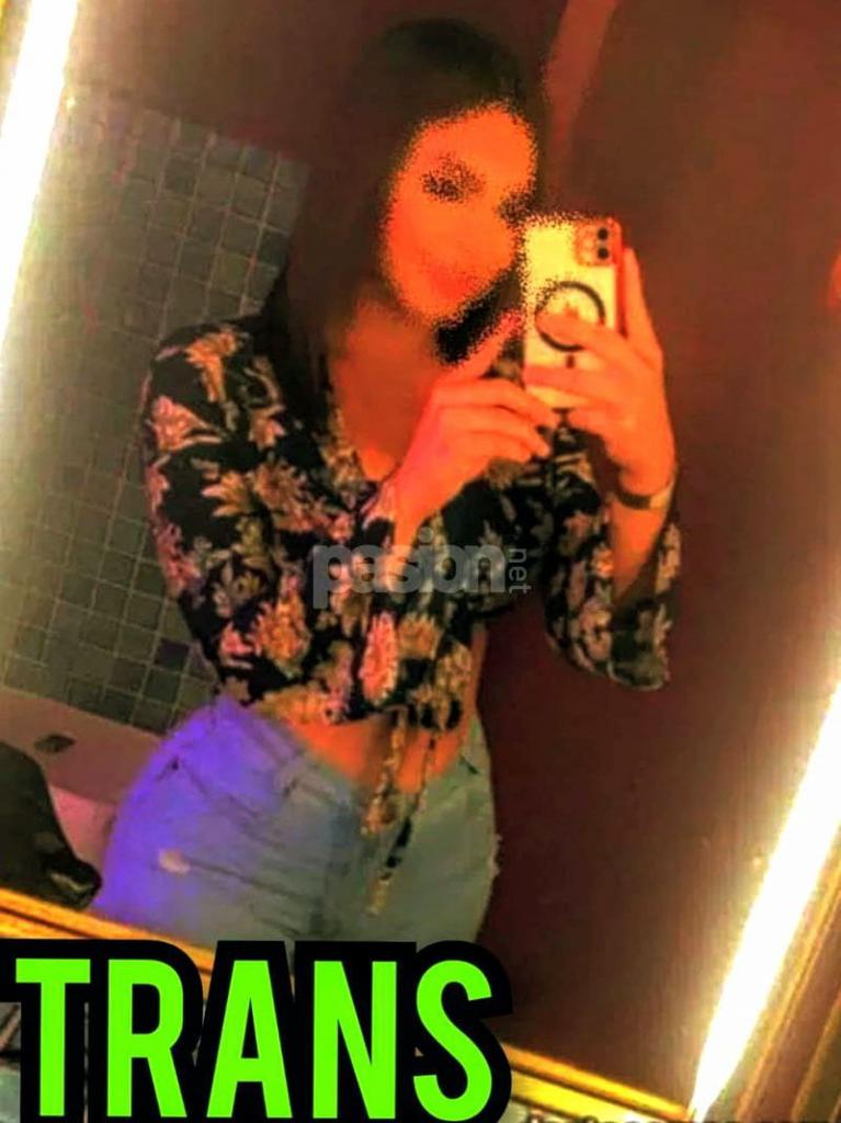 Transexual en Castellón: 