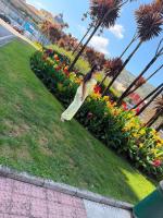 677913721: Travesti en Valladolid