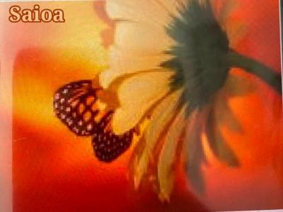 Chica busca chico en Vizcaya: 