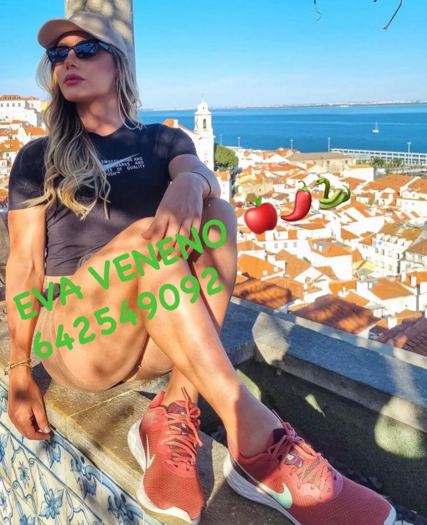 Transexual en Navarra: 