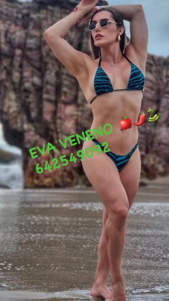 642549092: Transexual en Navarra