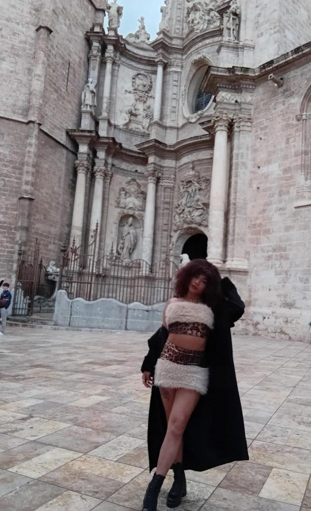 Travesti en Valencia: 