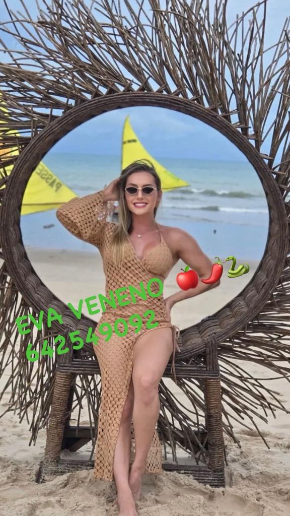 Transexual en Navarra: 