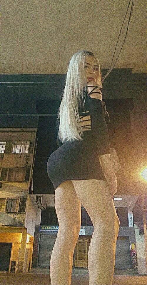 600042287: Travesti en Cantabria