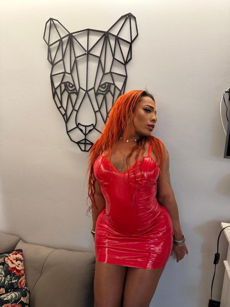 Travesti en Zaragoza: 