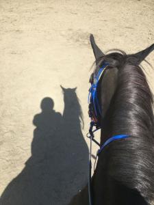 613619222: Chica busca chico en Barcelona