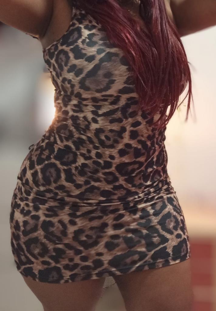 Chica busca chico en Navarra: 