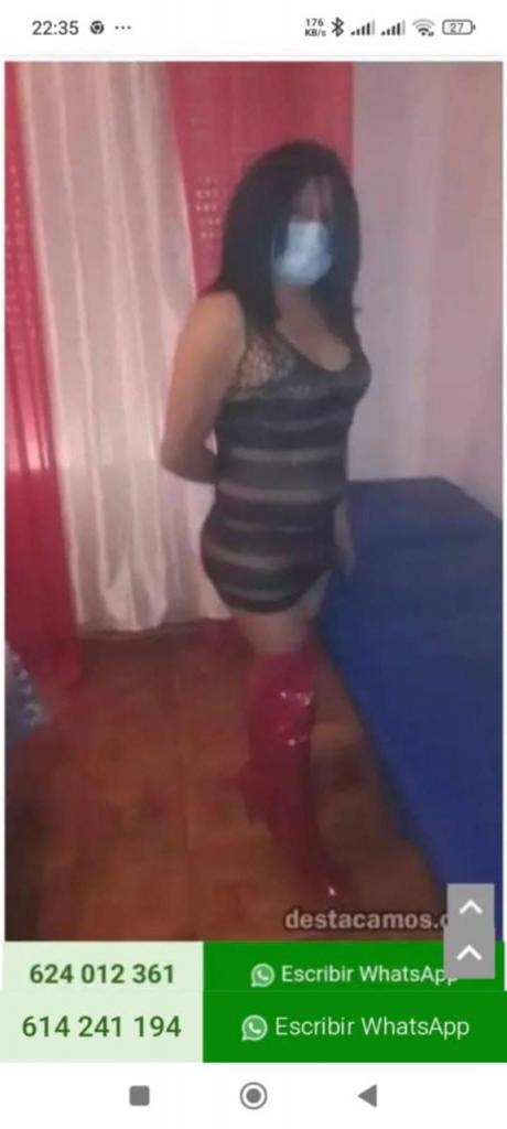 Travesti en Navarra: 