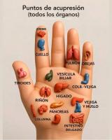 622302111: Chica busca chico en Valencia