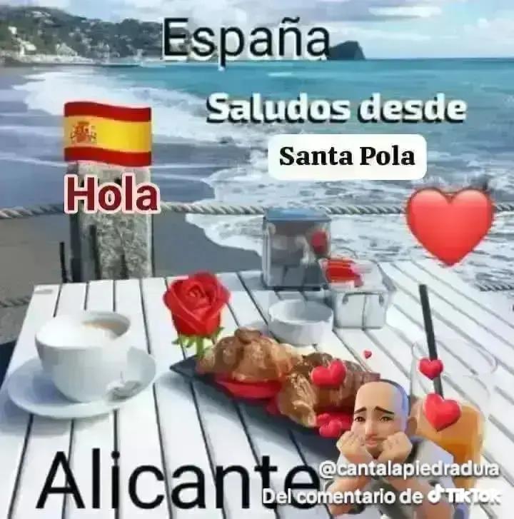 Chica busca chico en Alicante: 