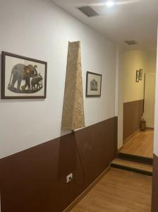 Chica busca chico en Las Palmas: 