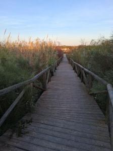 624358453: Chico busca chica en Cádiz