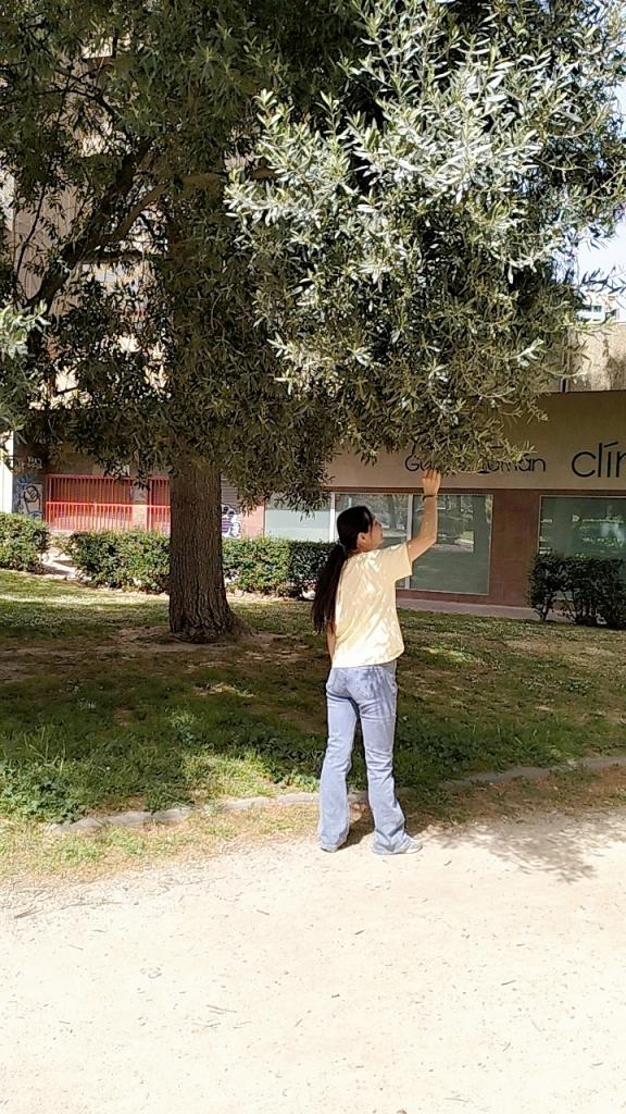 Chica busca chico en Zaragoza: 