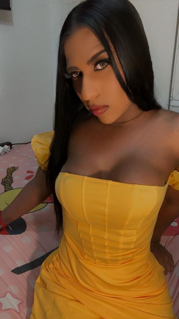 Travesti en Palencia: 