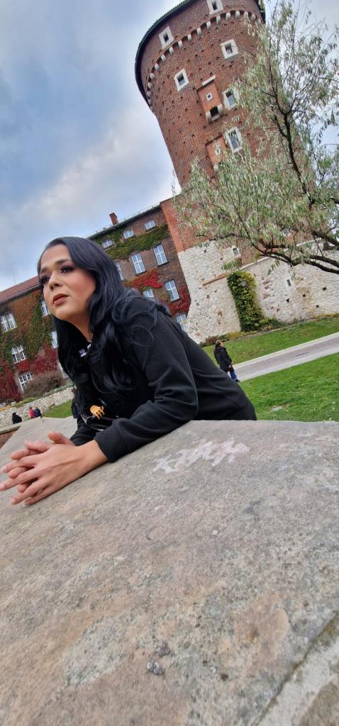 Travesti en Valencia: 