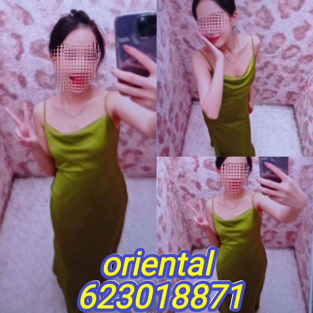 Chica busca chico en Navarra: 