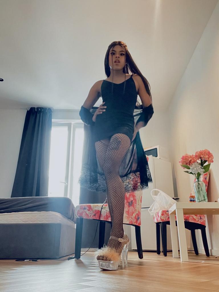 Travesti en Cantabria: 