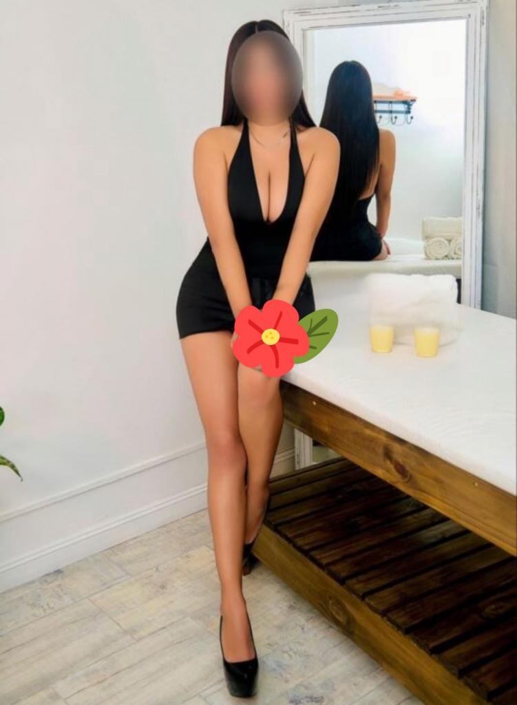 Chica busca chico en Navarra: 