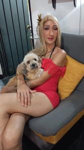 647118962: Travesti en Jaén