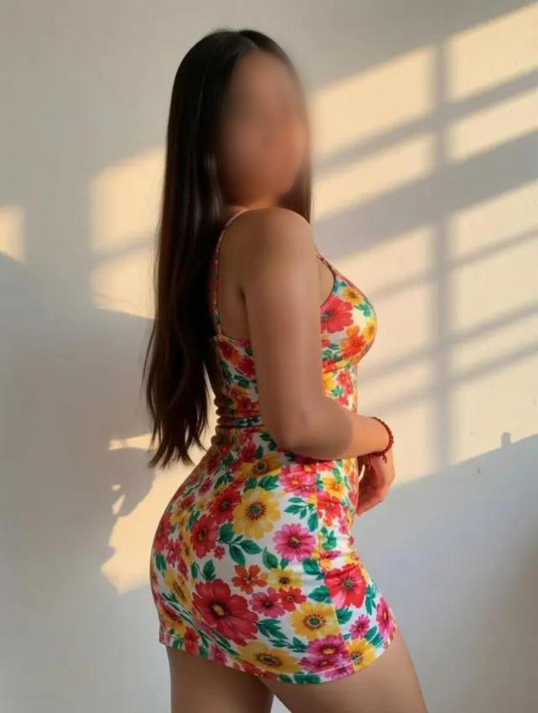 Chica busca chico en Palencia: 