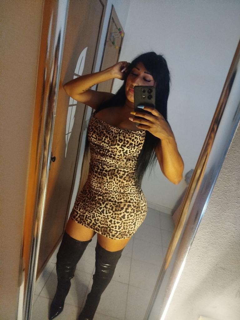 Travesti en Alicante: 