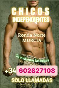 602827108: Chico busca chica en Murcia