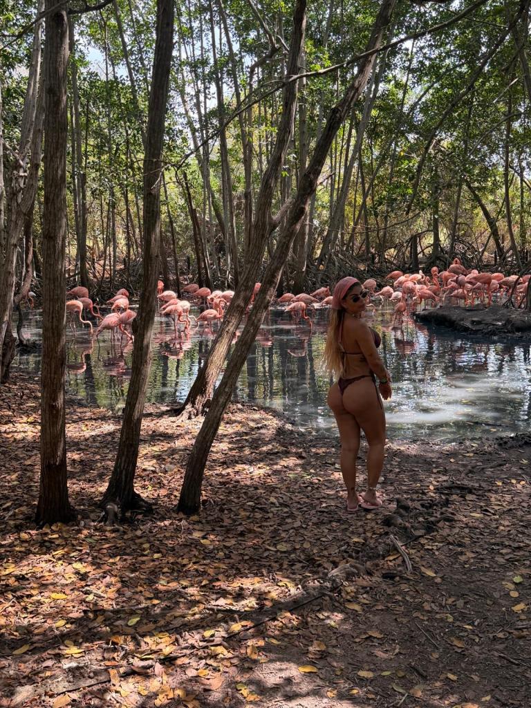 Chica busca chico en Cádiz: 