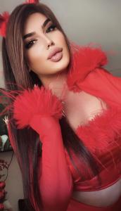 663780318: Travesti en Alicante