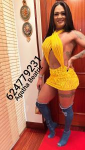 Chica busca chico en Navarra: 