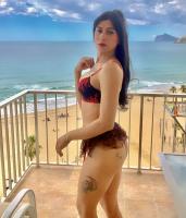 641251655: Transexual en Alicante