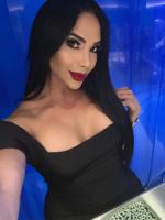 633556364: Transexual en Málaga