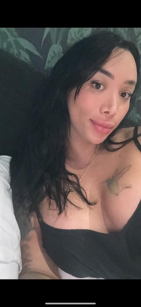 Travesti en Navarra: 