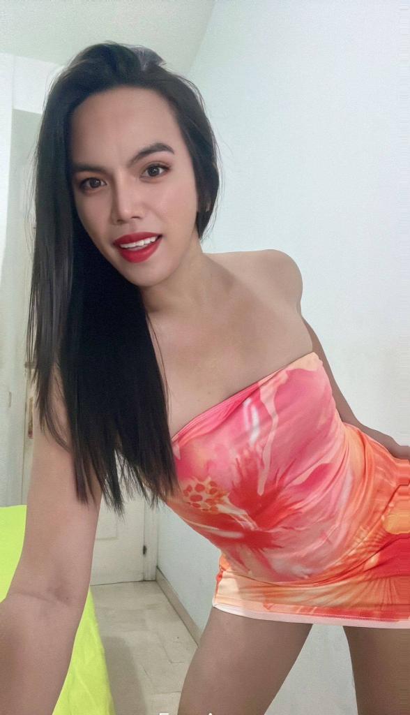 Travesti en Málaga: 