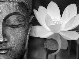 Chica busca chico en Gerona: 