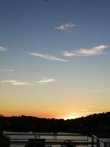 624372423: Chico busca chica en Mallorca