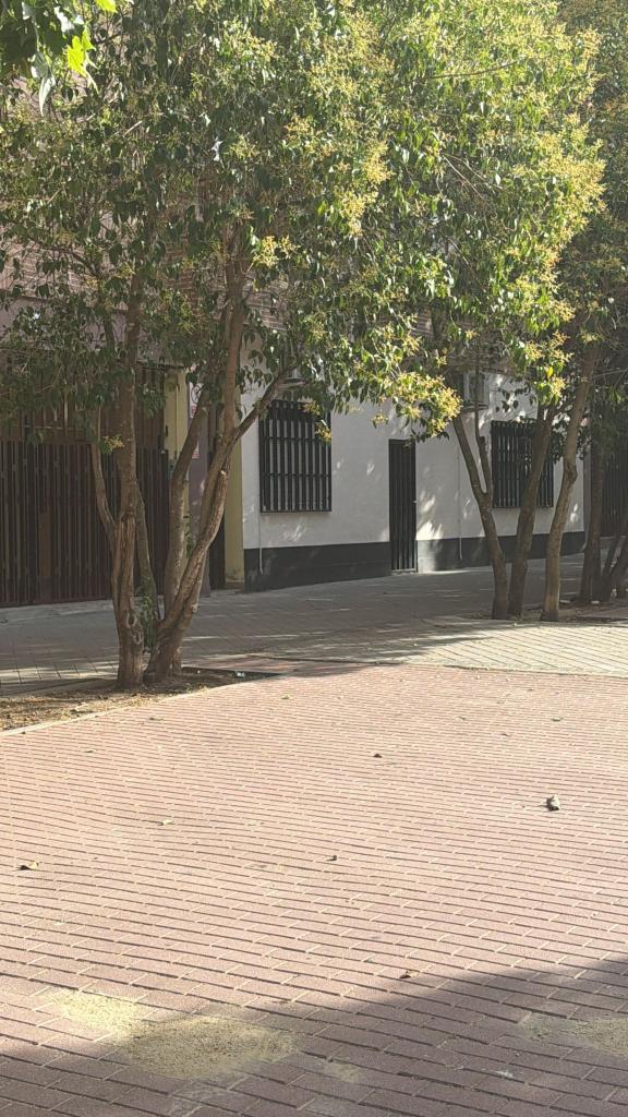 663710848: Chica busca chico en Madrid