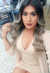 667596615: Travesti en Álava