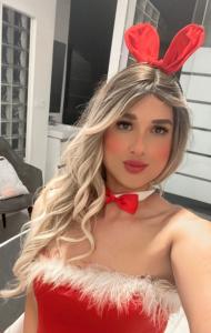 Travesti en Valencia: 